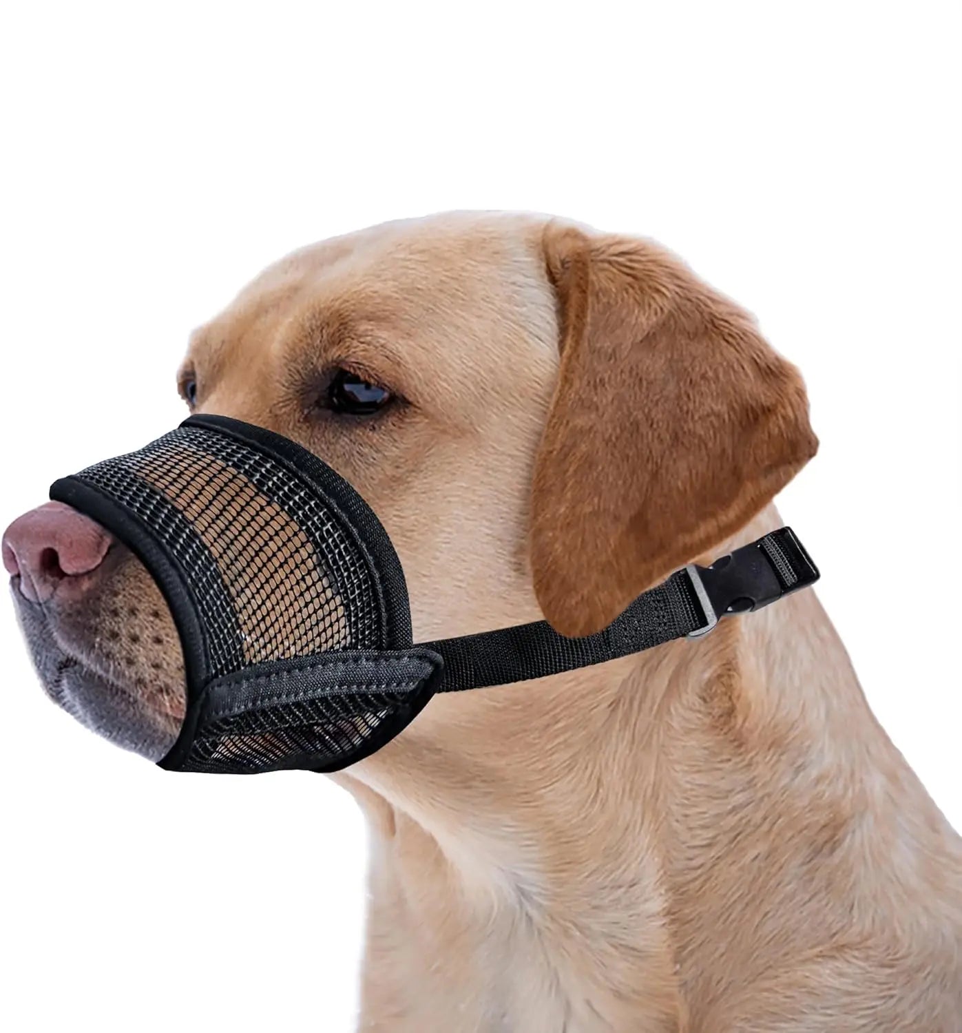 Dog Muzzle for Varies Dogs - Air Mesh Muzzle for Varies Sized Dog | Adjustable No Bark Dogs Muzzles for Scavenging Licking & Chewing | Prevent Biting |