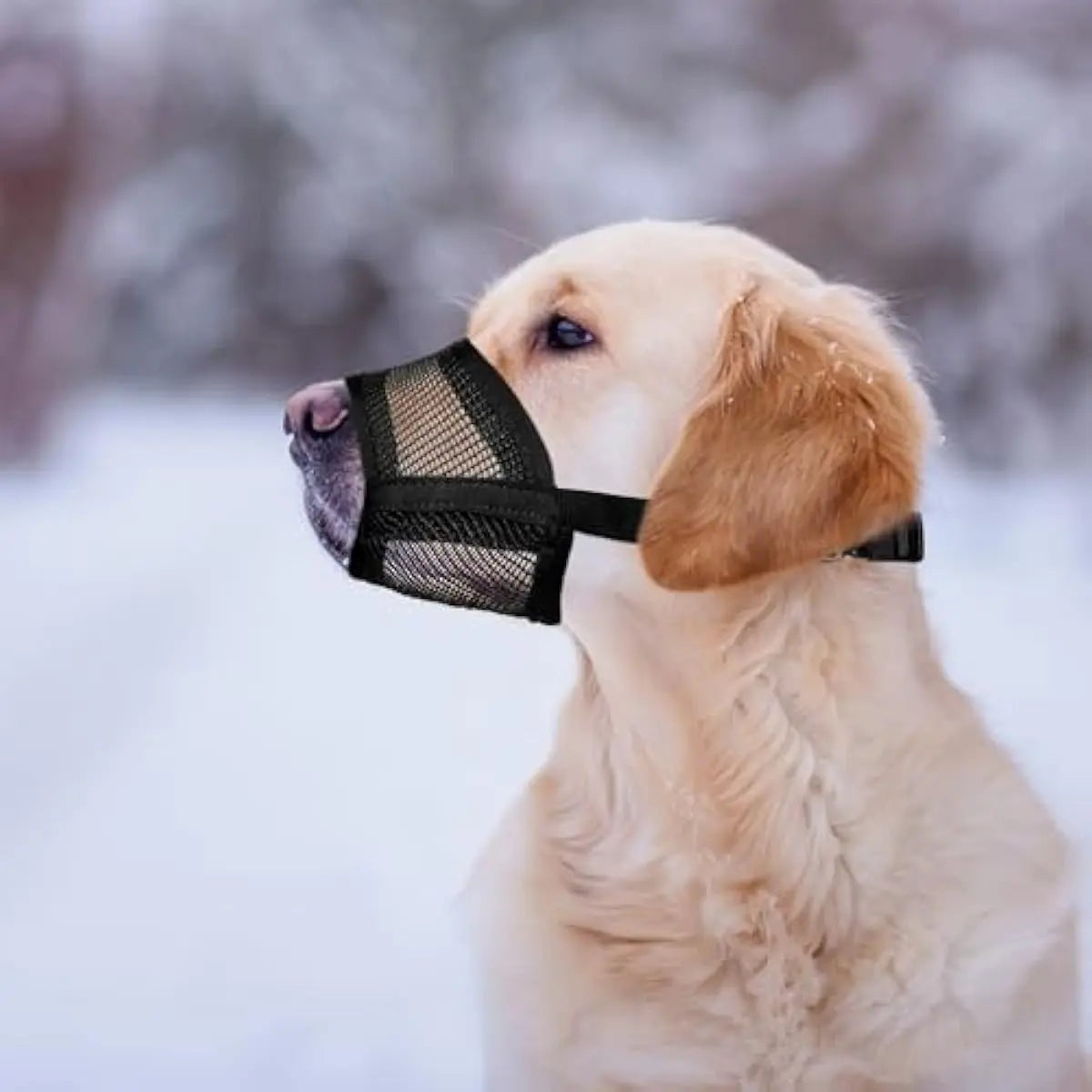 Dog Muzzle for Varies Dogs - Air Mesh Muzzle for Varies Sized Dog | Adjustable No Bark Dogs Muzzles for Scavenging Licking & Chewing | Prevent Biting |