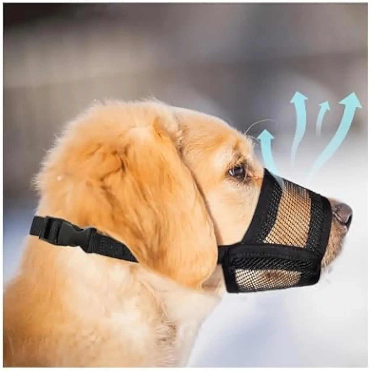 Dog Muzzle for Varies Dogs - Air Mesh Muzzle for Varies Sized Dog | Adjustable No Bark Dogs Muzzles for Scavenging Licking & Chewing | Prevent Biting |