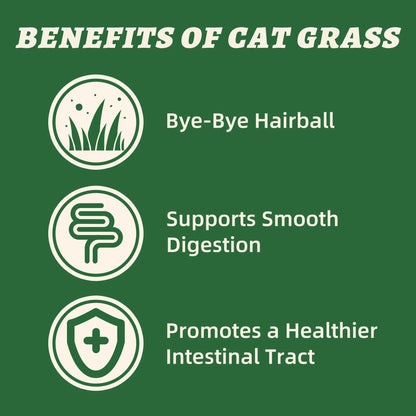 Wellix Dog&Cat Food Topper - Cat Grass Treats for Haiball Treament - Chicken Flavor Freeze Dried Cat Treats - Low Calorie Training Treats for Dogs&Cat 7.5Oz