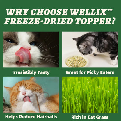 Wellix Dog&Cat Food Topper - Cat Grass Treats for Haiball Treament - Chicken Flavor Freeze Dried Cat Treats - Low Calorie Training Treats for Dogs&Cat 7.5Oz