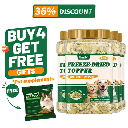 Wellix Dog&Cat Food Topper - Cat Grass Treats for Haiball Treament - Chicken Flavor Freeze Dried Cat Treats - Low Calorie Training Treats for Dogs&Cat 7.5Oz
