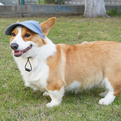 INS Adjustable Dog Baseball Cap Breathable Soft Dog Parent-Child Hat with Ear Holes Pet Sun Hat Hiking