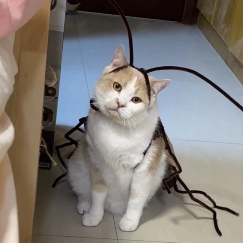 Realistic Cockroach Cat Costume with Detachable Wings Funny Cockroach Clothing for Cat | Cosplay Dress up DIY Material Pack