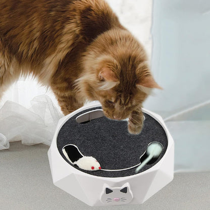 Interactive Cat Turntable Toy, Electric Cat Toys 2 Speed Adjustable Automatic Puzzle Catch Mouse Play Cat Toy for Pet Supplies