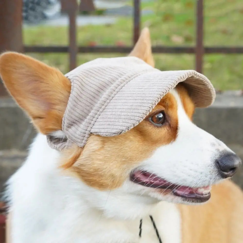 INS Adjustable Dog Baseball Cap Breathable Soft Dog Parent-Child Hat with Ear Holes Pet Sun Hat Hiking